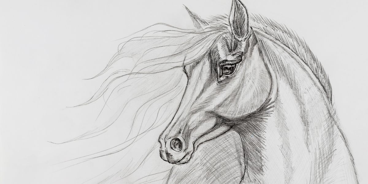 dessiner un cheval